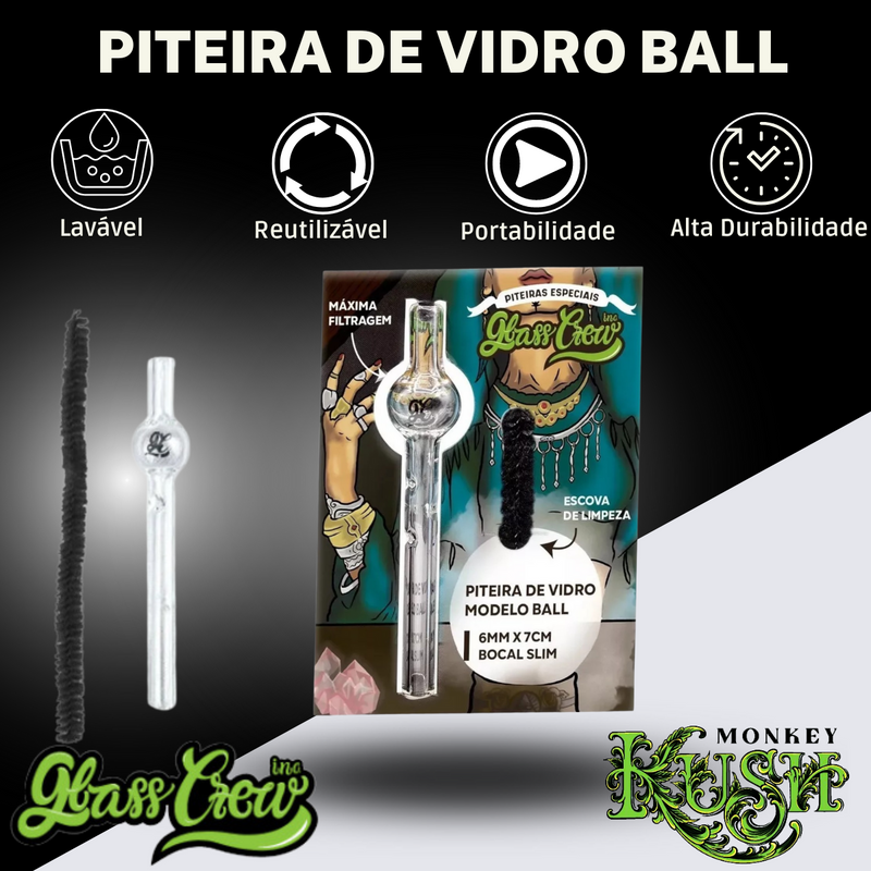 Kit Fumo Case Proteção Piteira De Vidro Sedas Cuias + Pilão