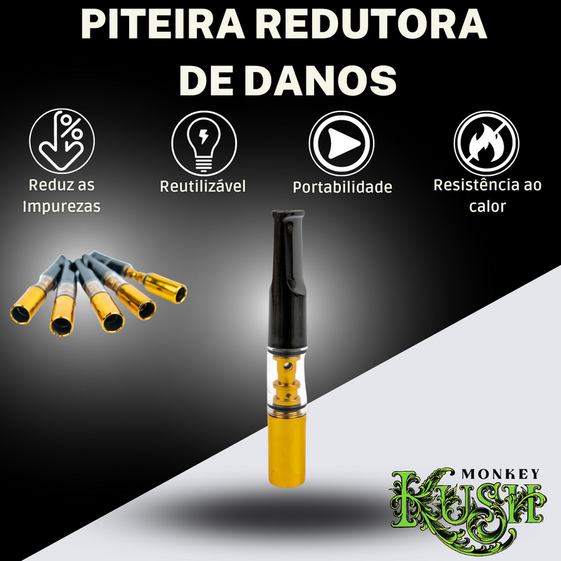 Kit 5 Piteiras Transparente Reutilizável Filtro Lavável