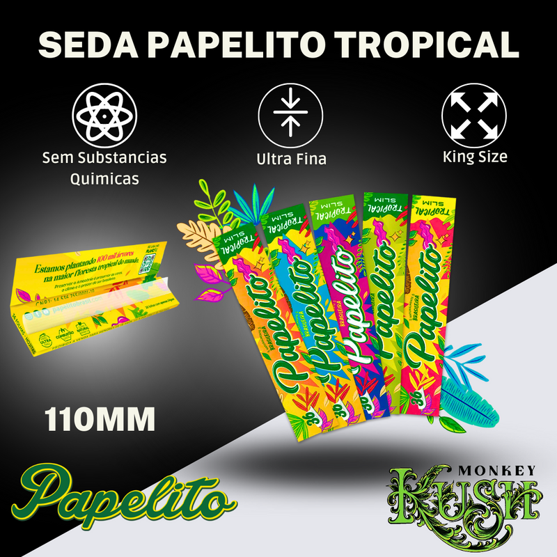 Kit Bolador Dichavador Porta Cigarros Tesoura Seda Cuia
